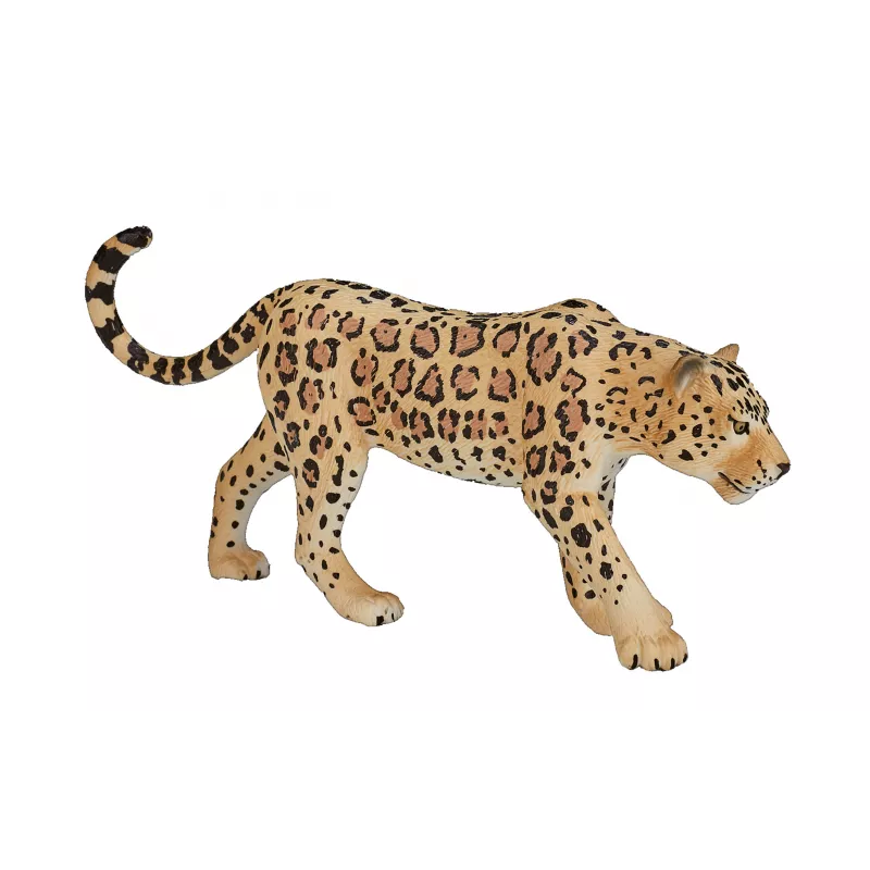 Leopardo