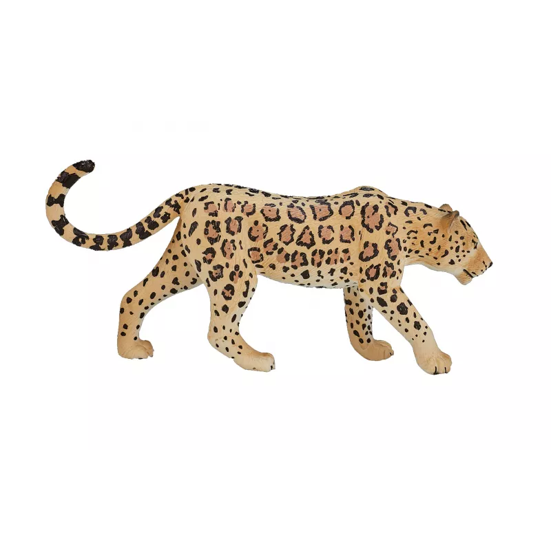 Leopardo