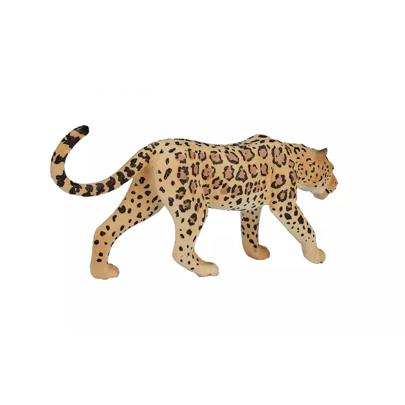 Leopardo