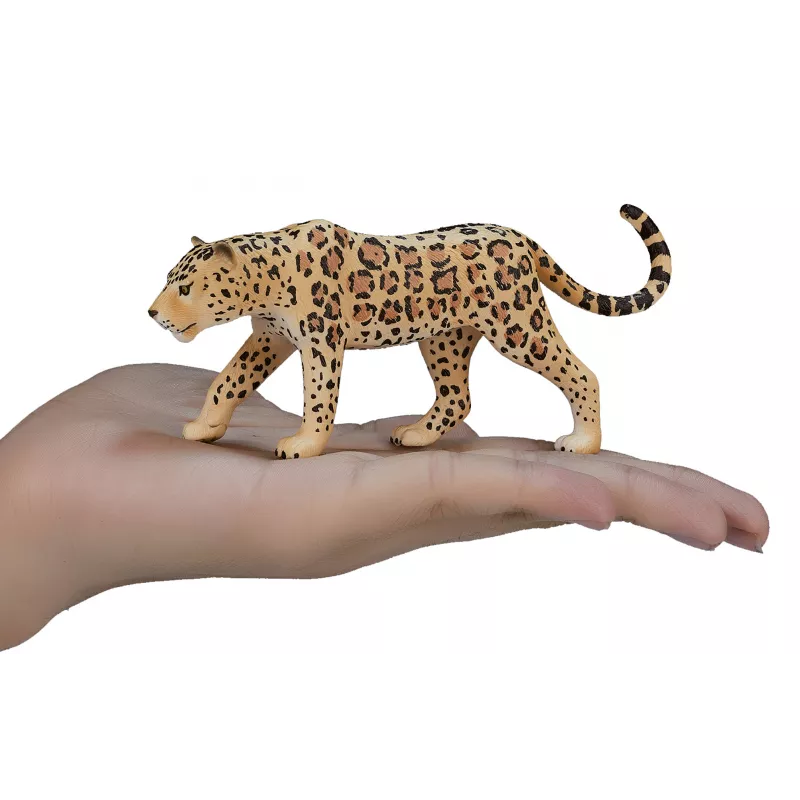 Leopardo