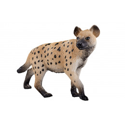 Hiena