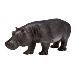 Hembra de hipopótamo