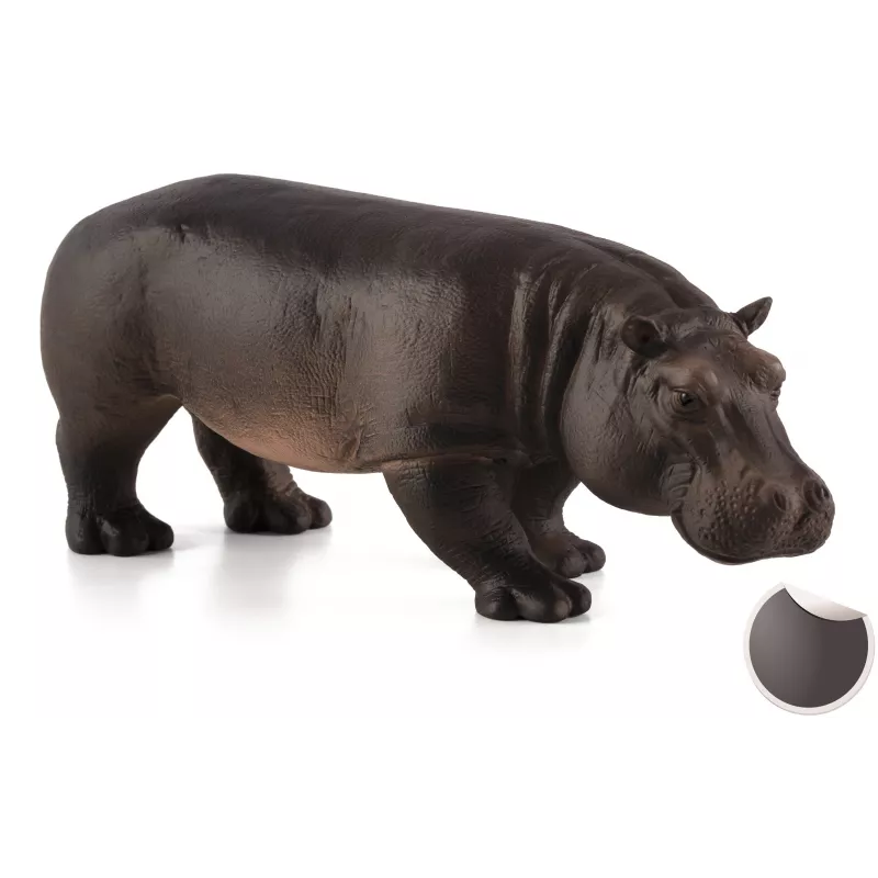 Hembra de hipopótamo