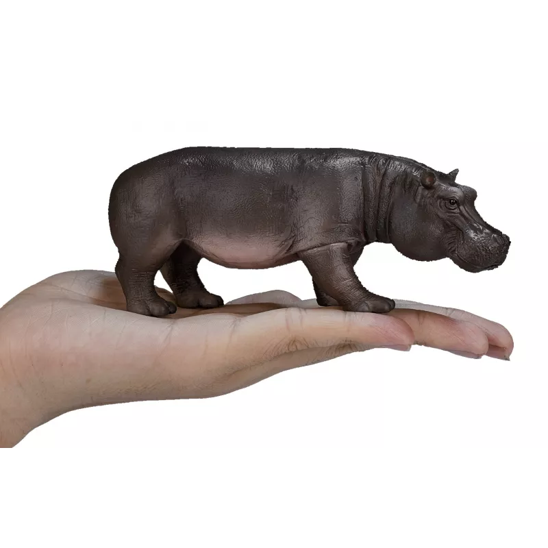 Hembra de hipopótamo