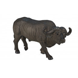 Buffalo