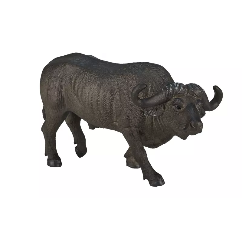 Buffalo