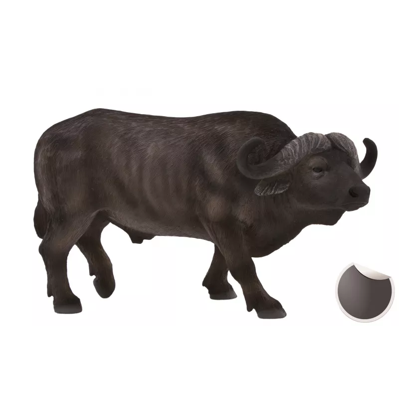 Buffalo