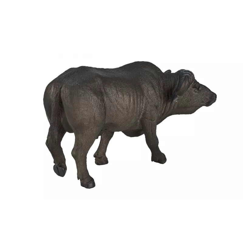 Buffalo