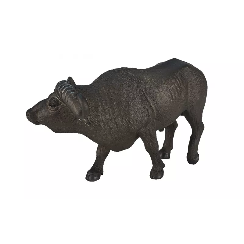 Buffalo