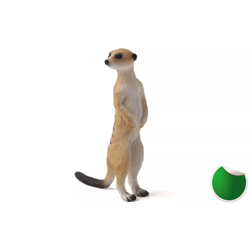 Suricata