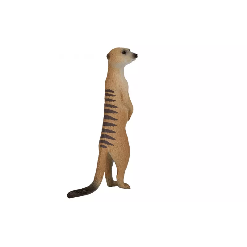 Suricata