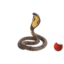 Cobra real