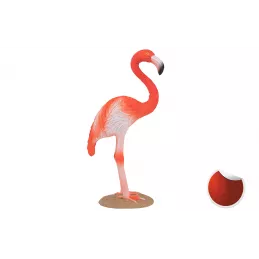 Flamenco americano