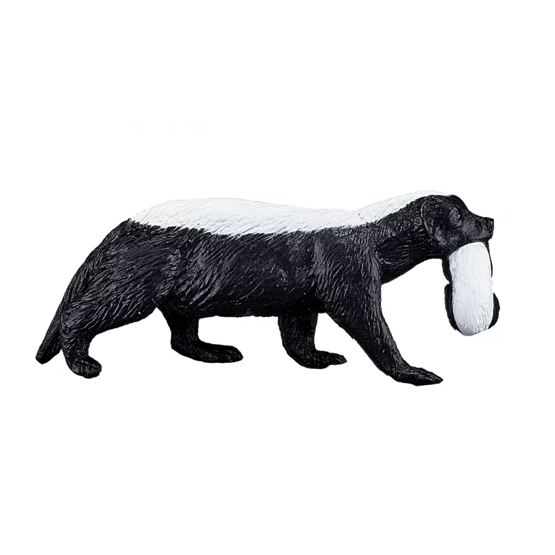 Tejón de miel hembra con cachorro