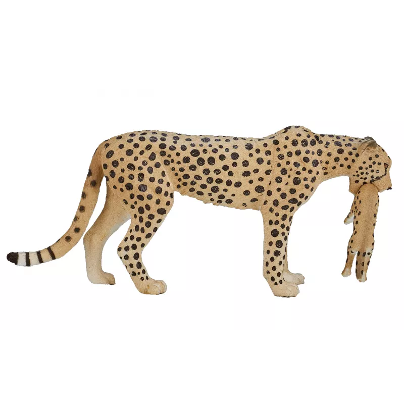 Guepardo hembra con cachorro