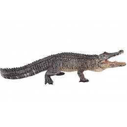 Cocodrilo con mandíbula