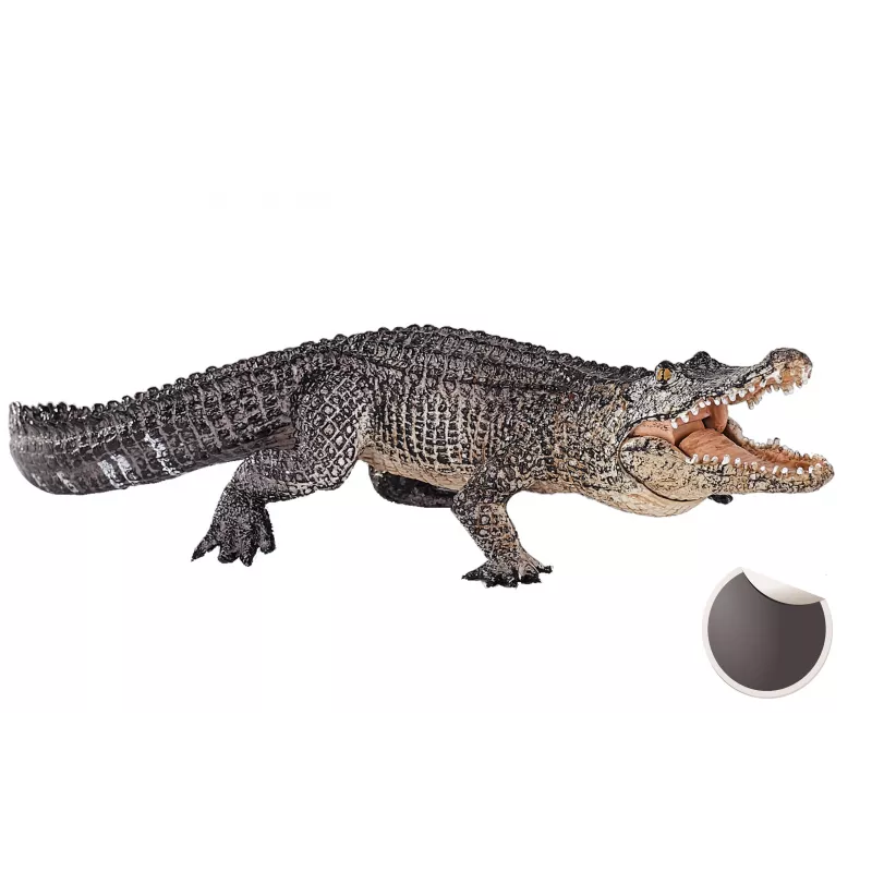 Cocodrilo con mandíbula