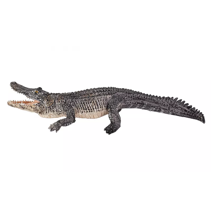 Cocodrilo con mandíbula