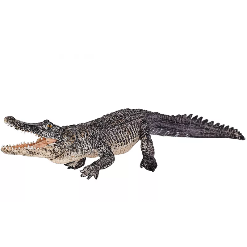 Cocodrilo con mandíbula