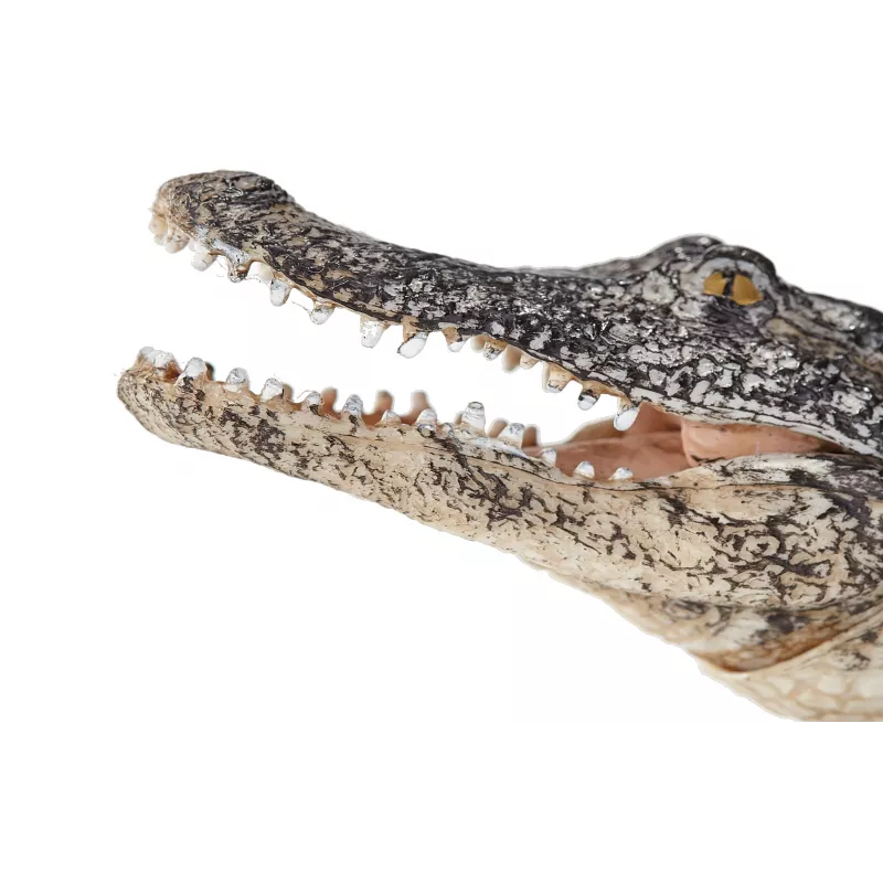 Cocodrilo con mandíbula