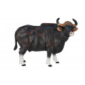 Toro Gaur