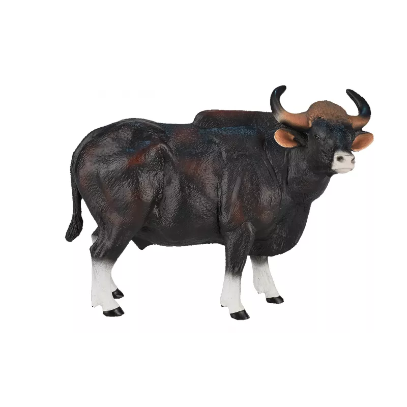 Toro Gaur