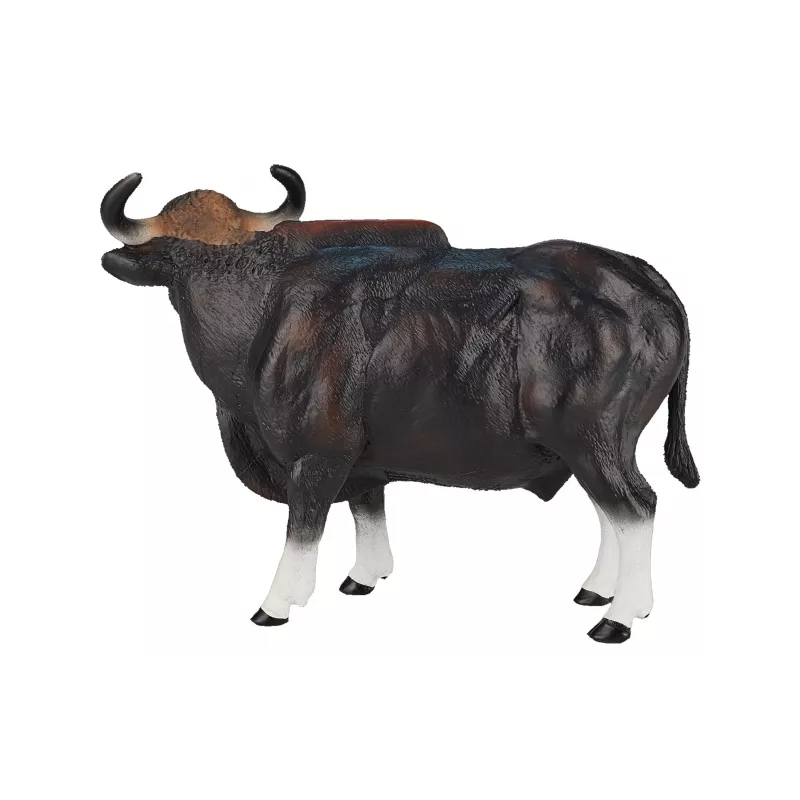 Toro Gaur