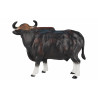 Toro Gaur