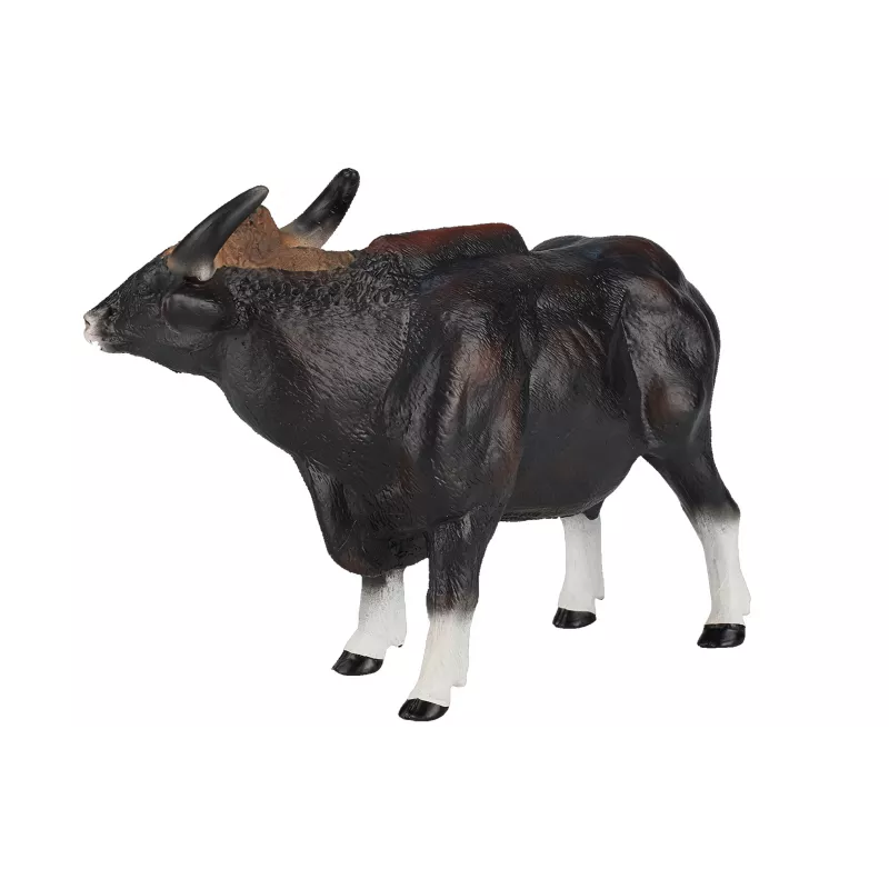 Toro Gaur