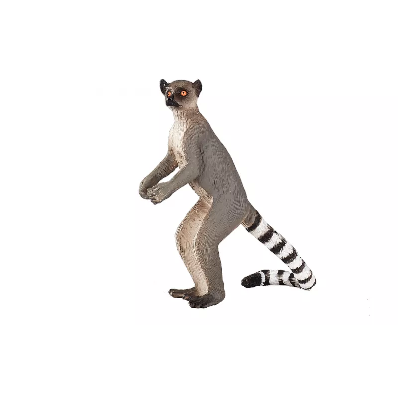 Lémur - Cola Anillada