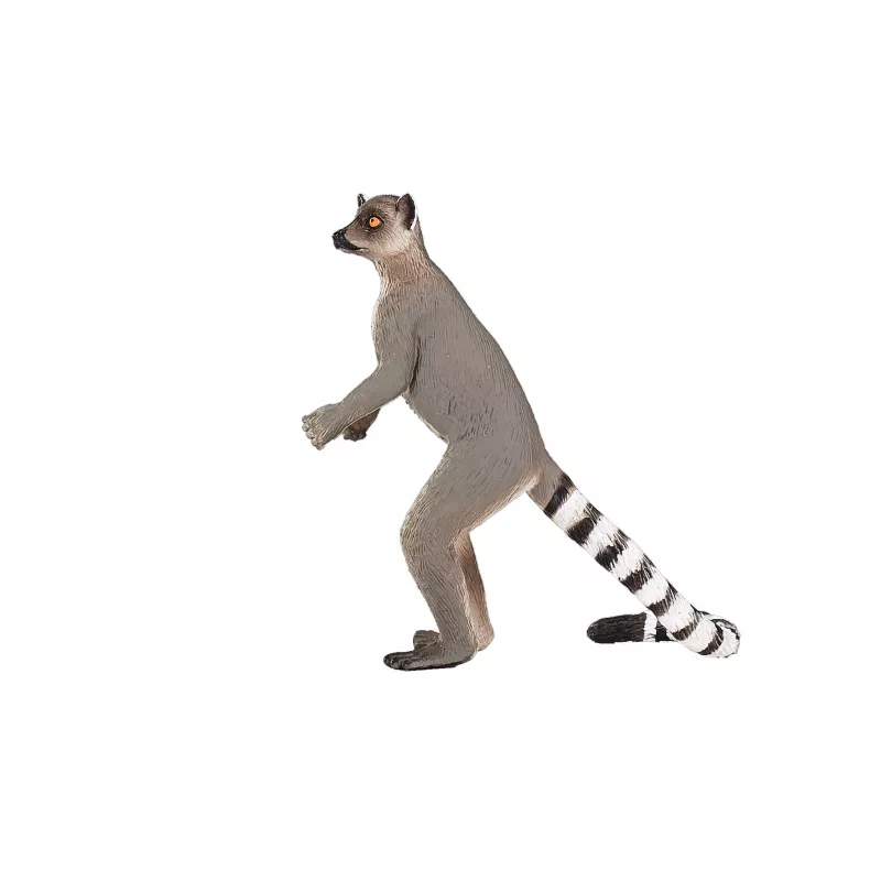 Lémur - Cola Anillada