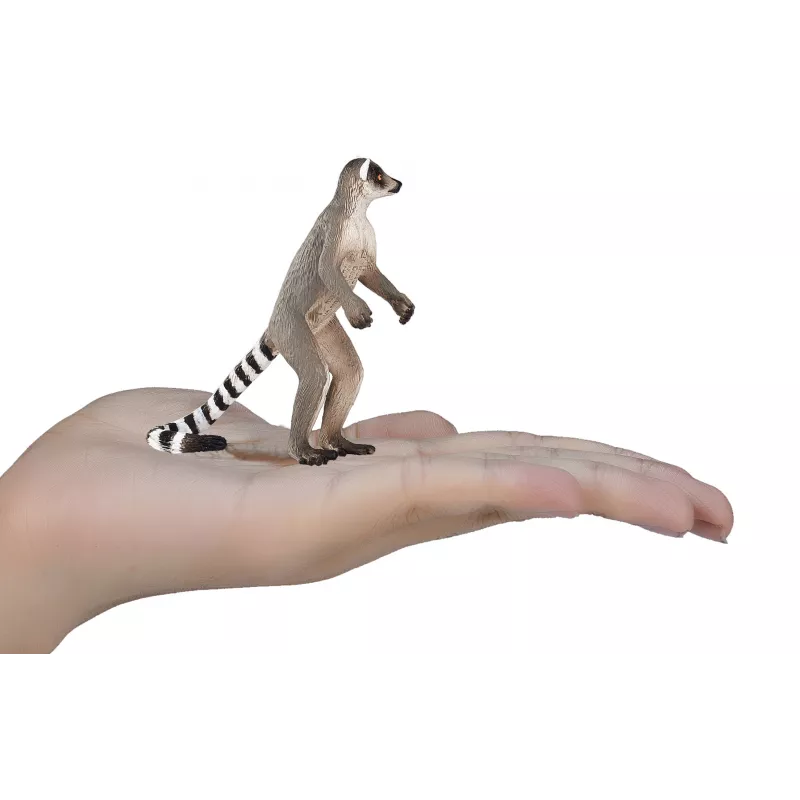 Lémur - Cola Anillada