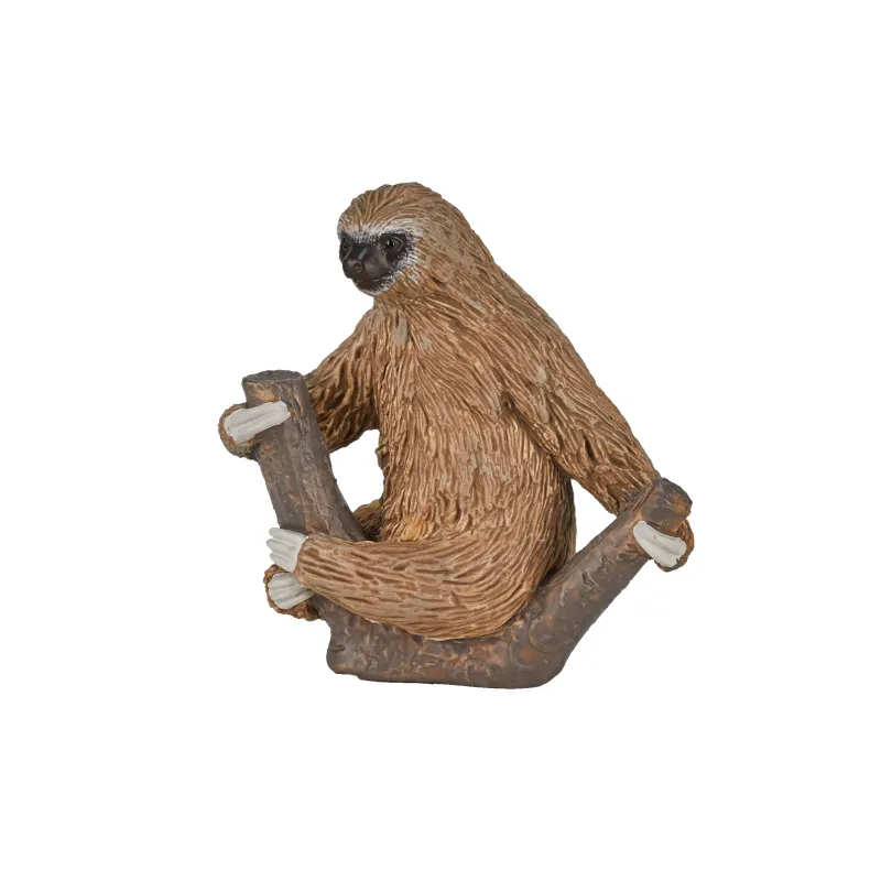 Perezoso con Dos Dedos