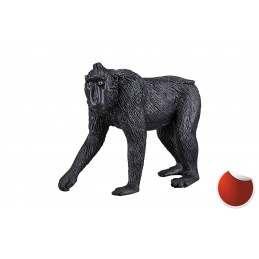 macaco crestado negro