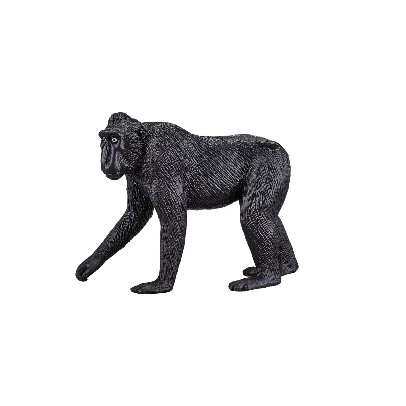 macaco crestado negro