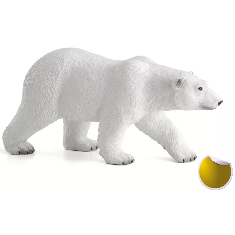 Oso Polar