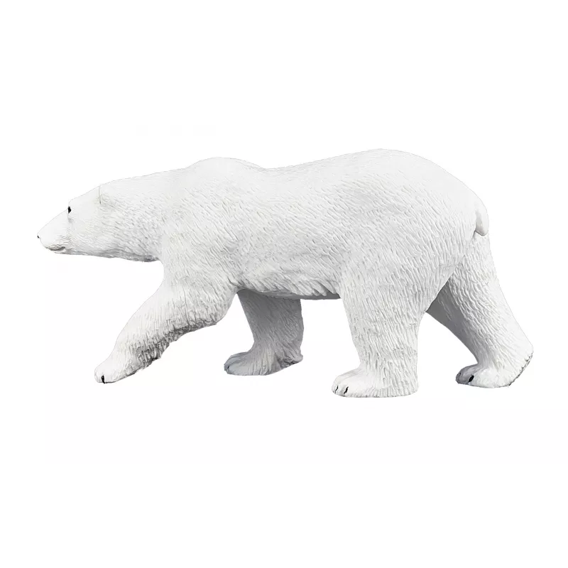 Oso Polar
