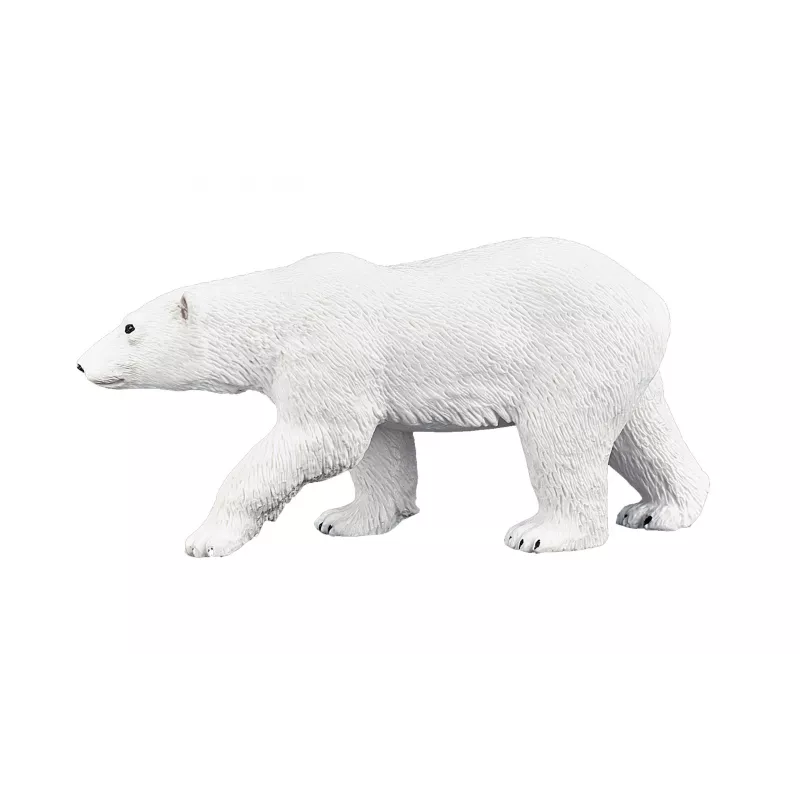 Oso Polar