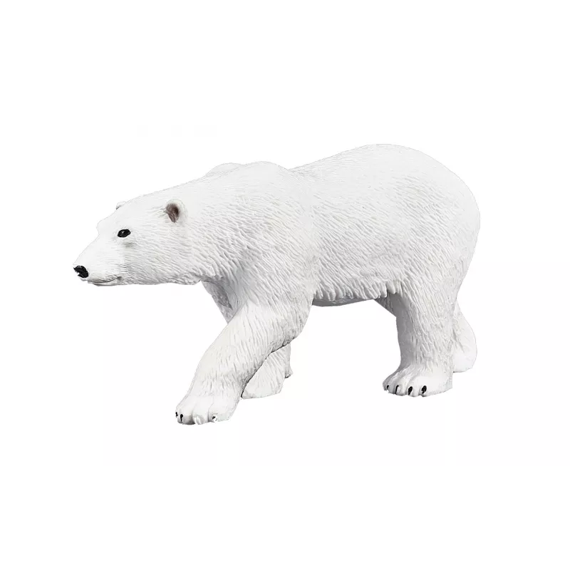 Oso Polar
