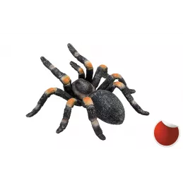 Tarántula roja