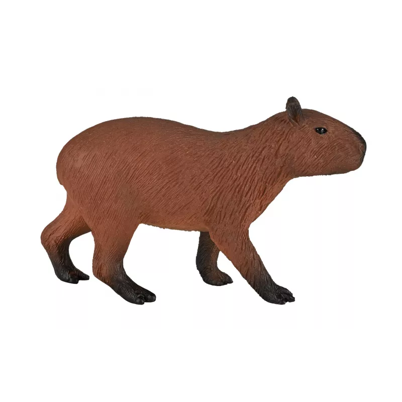 Capybara