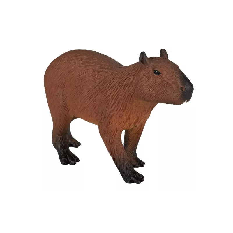 Capybara