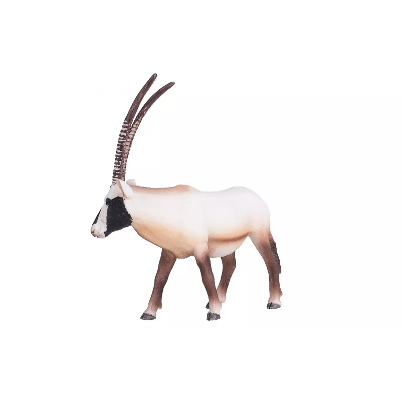 Oryx