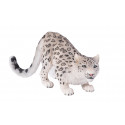 Leopardo de las Nieves