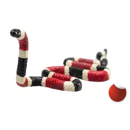 Serpiente Coral