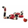 Serpiente Coral