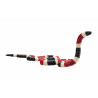 Serpiente Coral