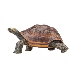 Tortuga gigante