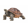 Tortuga gigante