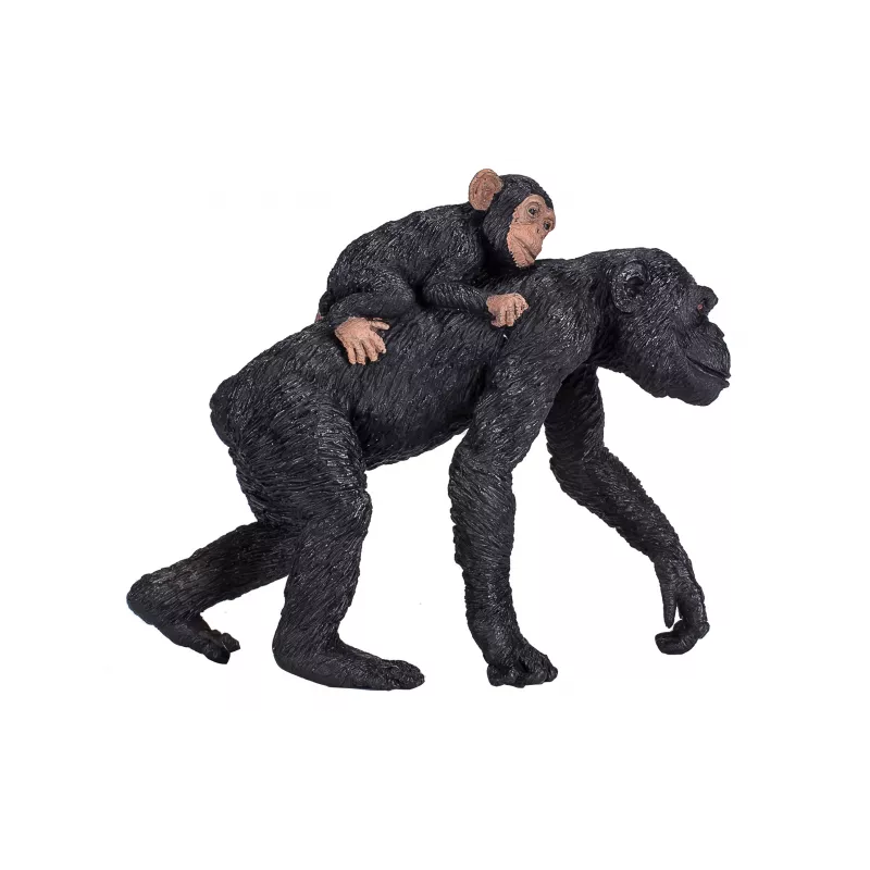 Chimpancé con bebé